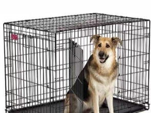 圖 個人 9成新美國中西低碳鋼狗窩300轉(zhuǎn)讓 深圳寵物食品 用品